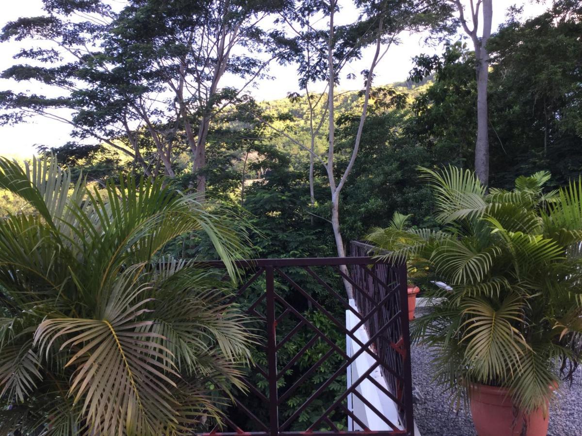 Bougainvillas Seychelles Ансе-Рояль Екстер'єр фото