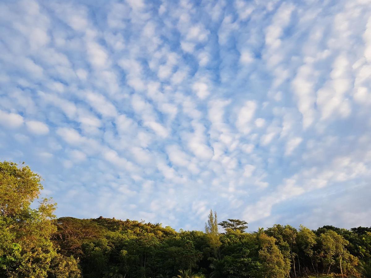 Bougainvillas Seychelles Ансе-Рояль Екстер'єр фото